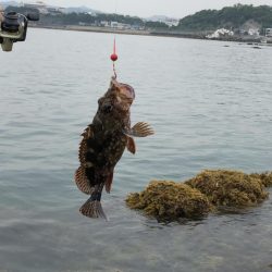 はじめての紀州釣り