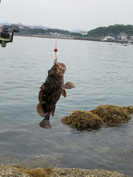 はじめての紀州釣り