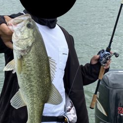 ベローズスティック3.8インチ