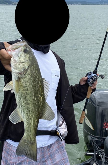 ベローズスティック3.8インチ