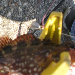 夫婦で市役所裏