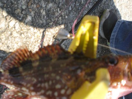 夫婦で市役所裏