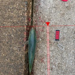 コブダイハント失敗