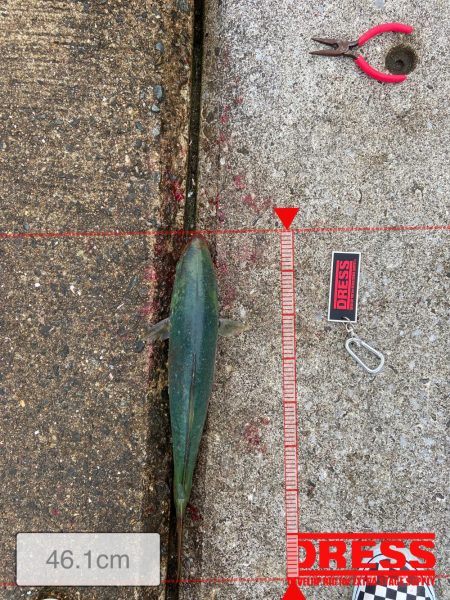 コブダイハント失敗