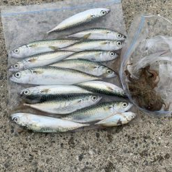 コロナ休み⇄釣り