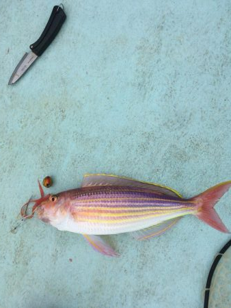 大里沖でタイラバ