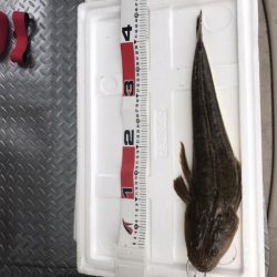 荒れたサーフ狙いはスズキ