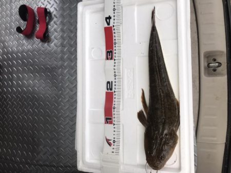 荒れたサーフ狙いはスズキ