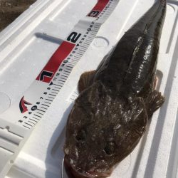 大好きなホームサーフで