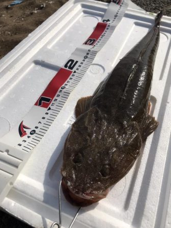 大好きなホームサーフで