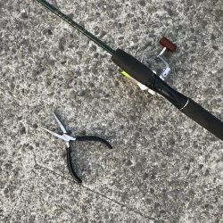 リベンジならず