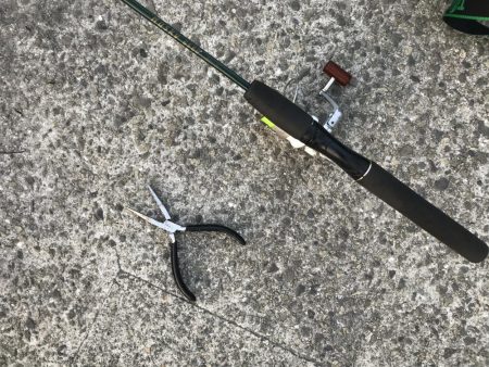 リベンジならず