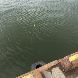 ファミリーフィッシング