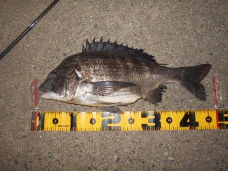 フッキング不可能？