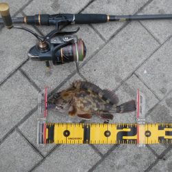 マイクロにはソリッドクリアで