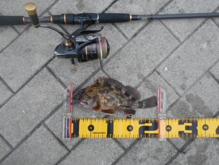 マイクロにはソリッドクリアで