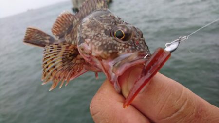 雨の中ワームのテスト