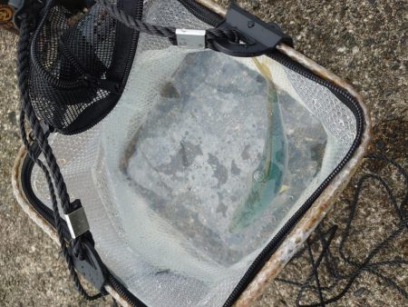 串本ショアジギ