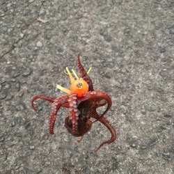 大潮はダメなのか?