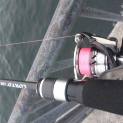 貝塚人工島へ寄り道