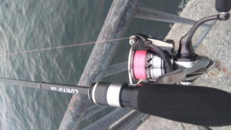 貝塚人工島へ寄り道