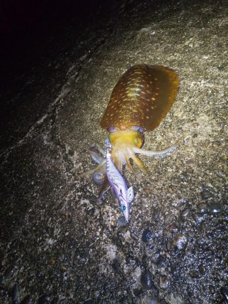 コロナが解除されて２回目の和歌山遠征!!