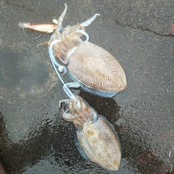 ソーシャルディスタンスを守って