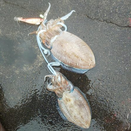 ソーシャルディスタンスを守って