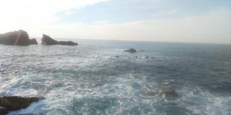 シイラがほしかったけど?