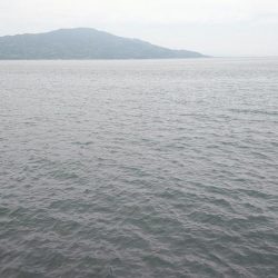 ライトショアジギングにて