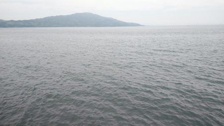 ライトショアジギングにて