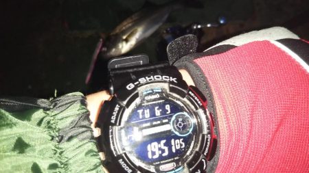 ぶらシーバス!!