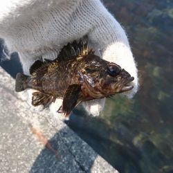 暑さの中での穴釣り