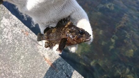 暑さの中での穴釣り