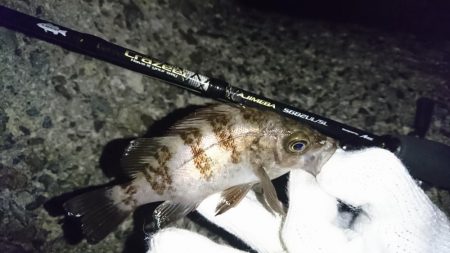 そろそろ厳しいか