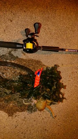 オクトパッシング！