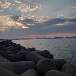 初フラットフィッシュ狙い