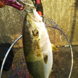 朝から気分爽快！