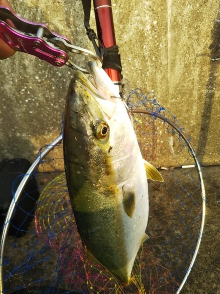 朝から気分爽快！