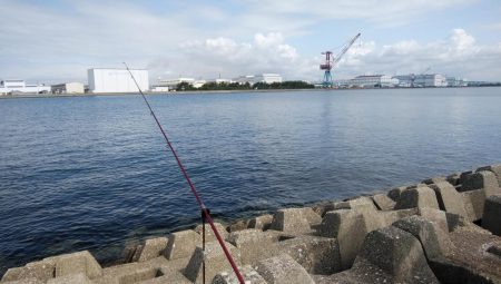 東二見西水路調査