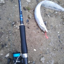 小雨の朝……そろそろ梅雨入り