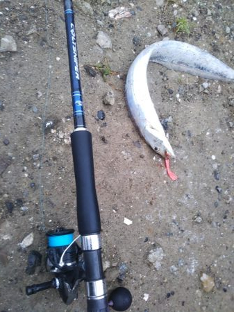 小雨の朝……そろそろ梅雨入り