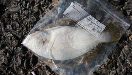 16時から播磨新島釣行しました