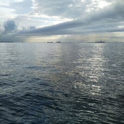 フラットだけど……