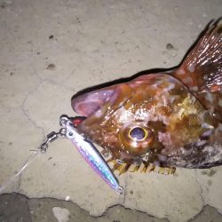 スーパーライトも楽しいかも……