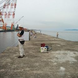 16時から僅かなアタリを楽しみました