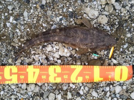 渋い朝マヅメでしたが最後にご褒美が……