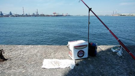 良型キスが消えた播磨新島