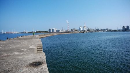 高砂港もピンギスモードか!