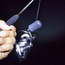 今日も、メバリングでしたが・・・